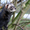  питомник хорьков Favourite Ferret #145023