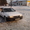 Продаю Меняю Toyota Corolla #469600