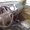 Продаю Toyota Fortuner 2012 #728248